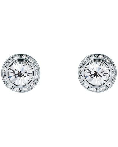 Ted Baker Ted Crystal Stud Ld00 - White