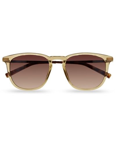 Ted Baker 1633 500 Retro Sunglasses - Brown