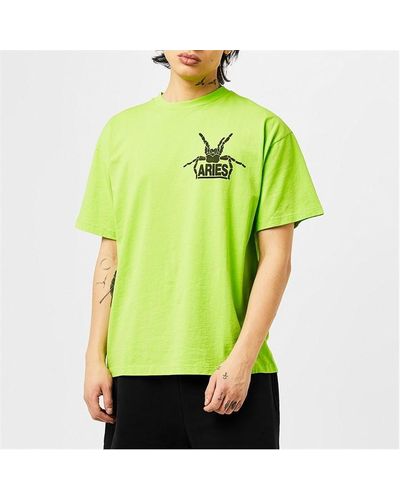 Aries Silas Spider T Sn41 - Green