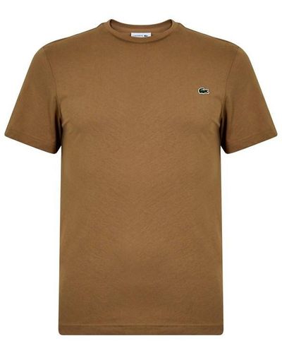 Lacoste Logo T Shirt - Brown