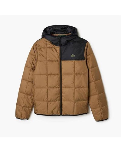 Lacoste Acote Bh1666 Jacket - Brown