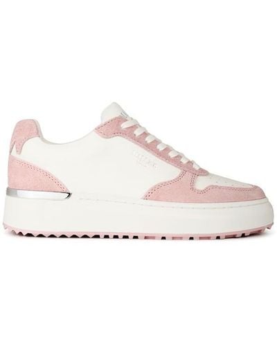 Mallet Hoxton Boucle Trainer - Pink