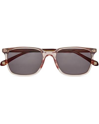 Ted Baker 1622 Sunglasses - Brown