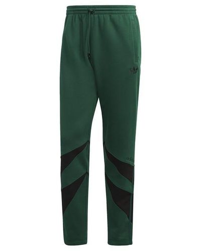 adidas Originals Adidas Shark Swtpant Sn99 - Green