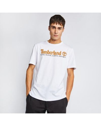 Timberland Linear Logo - Bianco