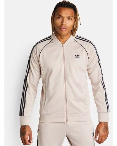 adidas Superstar Track Tops - Brown