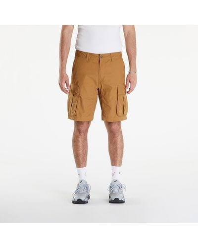 The North Face Anticline Cargo Short - Brown