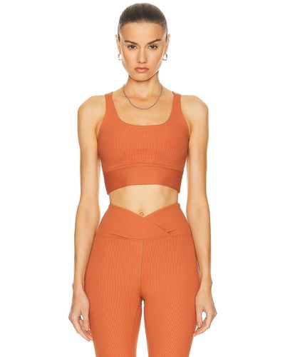 Year Of Ours Ribbed Gym Bra - Orange
