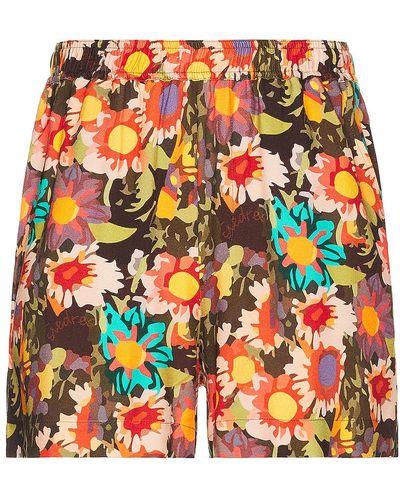 Siedres Printed Shorts - Multicolor