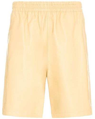 Bottega Veneta Smooth Nappa Shorts - Multicolor