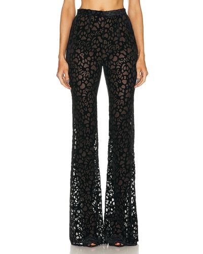 Priscavera Fitted Flared Pant - Black