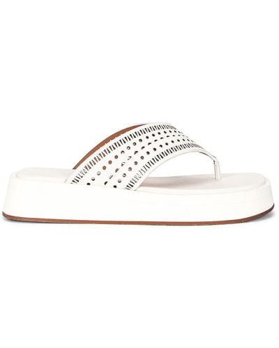 Alaïa Vienne Plastron Thong Sandals - White