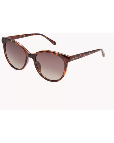 Fossil Rileigh Round Sunglasses - Brown