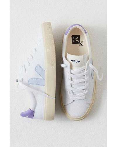 Free People Campo Canvas Sneakers - Purple