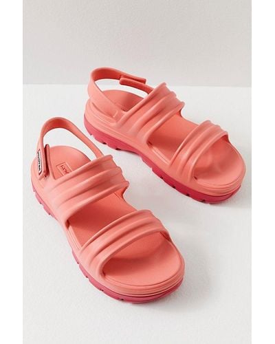 HUNTER Bloom Algae Sandals - Pink