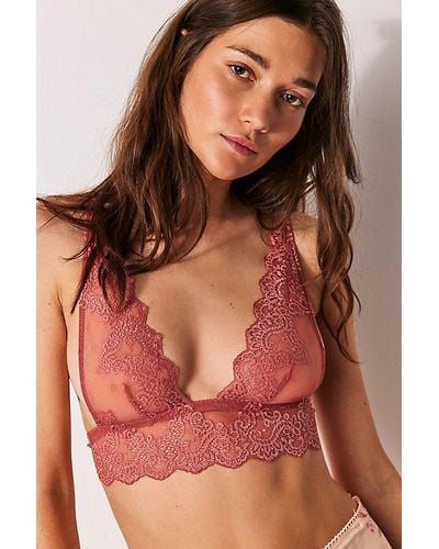 Only Hearts So Fine Lace Fairy Bra - Brown
