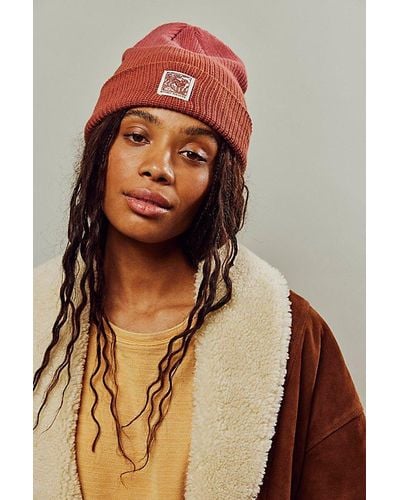 Parks Project Ombre Beanie - Brown