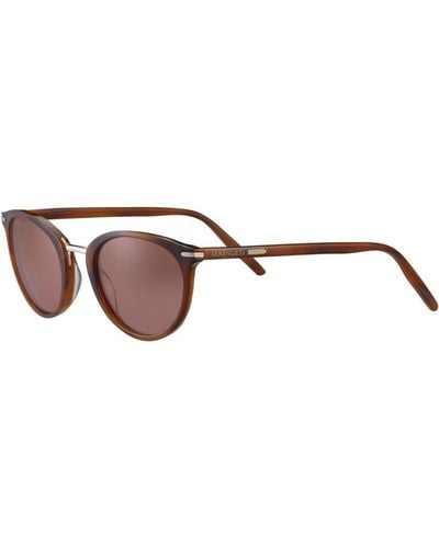 Serengeti Sunglasses Elyna - Brown
