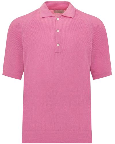 Laneus Polo Shirt - Pink