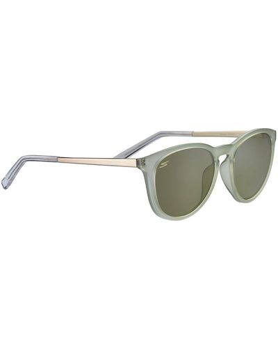Serengeti Sunglasses Brawley - Metallic