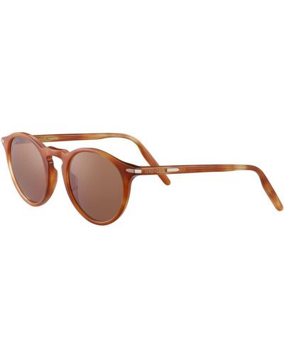 Serengeti Sunglasses Raffaele - Brown