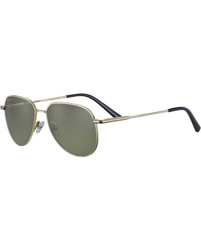 Serengeti Sunglasses Haywood Small - Grey