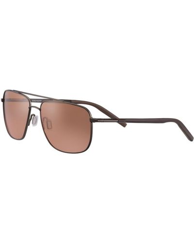 Serengeti Sunglasses Tellaro - Brown