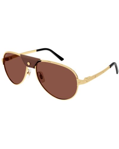 Cartier Sunglasses Ct0034s - Brown