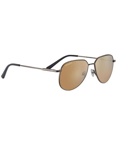 Serengeti Sunglasses Haywood - Metallic