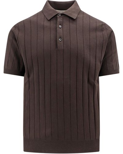 Corneliani Polo Shirt - Brown