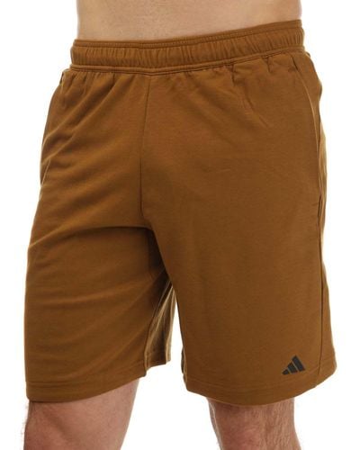 adidas Yoga Base Shorts - Brown