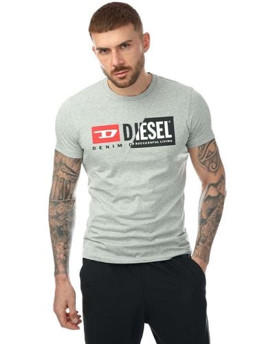 DIESEL T-diego Cuty Maglietta T-shirt - Grey