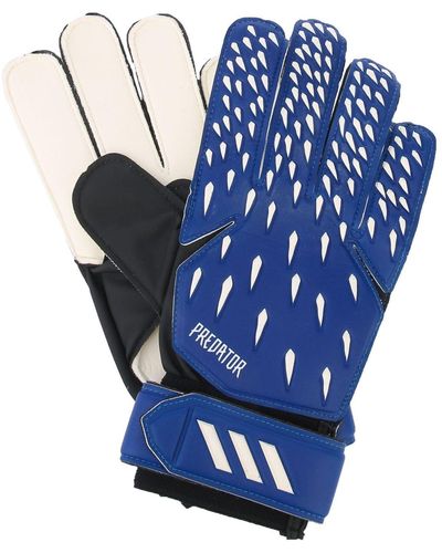 adidas Predator Training Goalkeeper Gloves - Blue