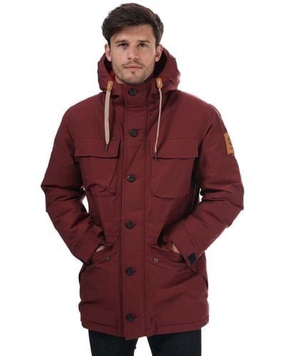 Timberland Down and padded jackets for Men | Online Sale up to 47% off |  Lyst UK