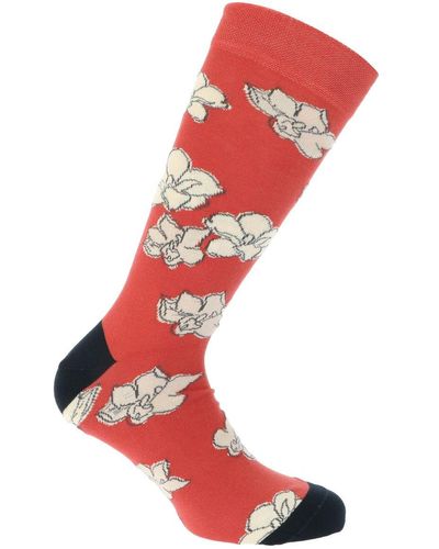 ted baker christmas socks