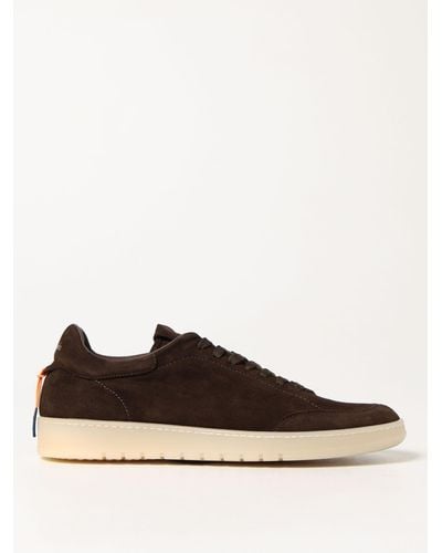 Barracuda Trainers In Suede - Brown