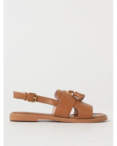 Coccinelle Heeled Sandals - Brown