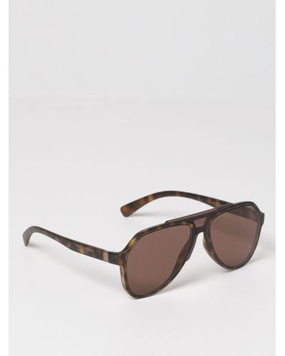 Dolce & Gabbana Acetate Sunglasses - Natural