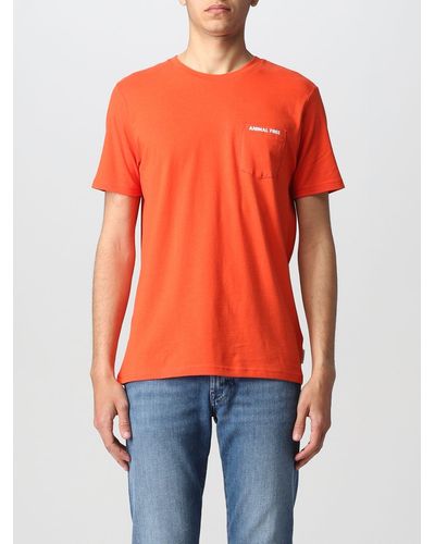 Save The Duck T-shirt basic - Arancione
