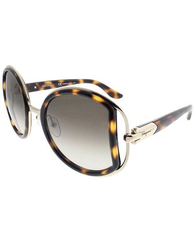 Ferragamo Sf719s 52mm Sunglasses - Brown