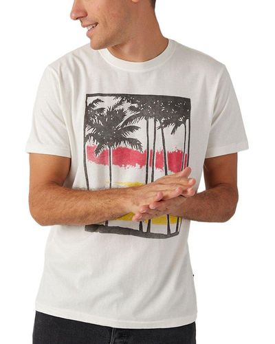 Sol Angeles Summer Breezway Crew T-shirt - Grey