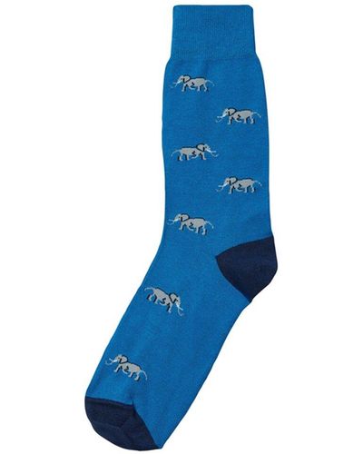 Charles Tyrwhitt Design Sock - Blue