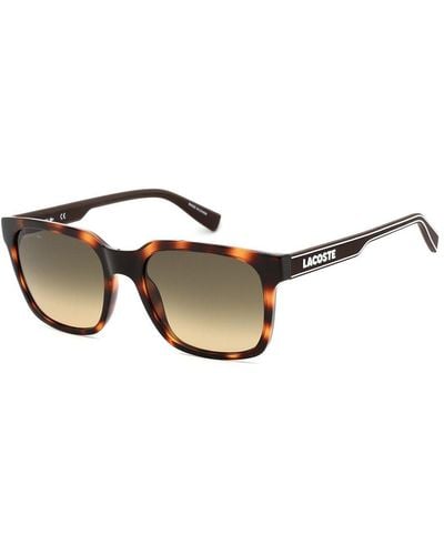 Lacoste L967s 55mm Sunglasses - Brown