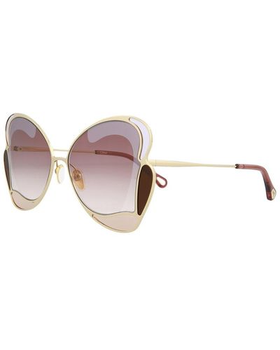 Chloé 60mm Sunglasses - Brown