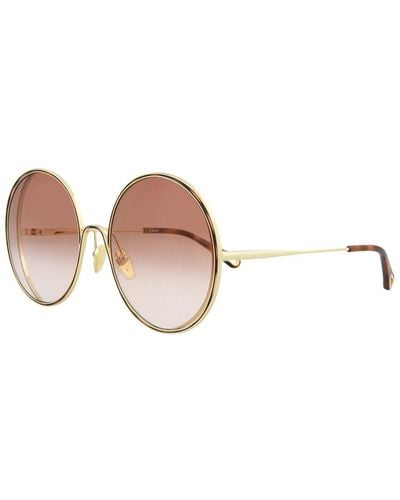 Chloé Ch0037sa 61mm Sunglasses - Brown
