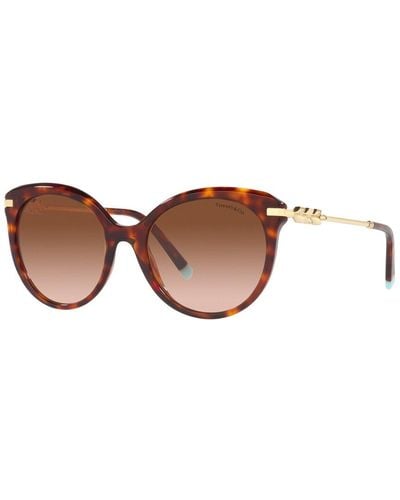 Tiffany & Co. 55mm Sunglasses - Brown