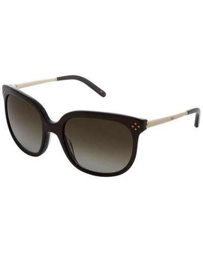 Chloé Ce642s 55mm Sunglasses - Brown