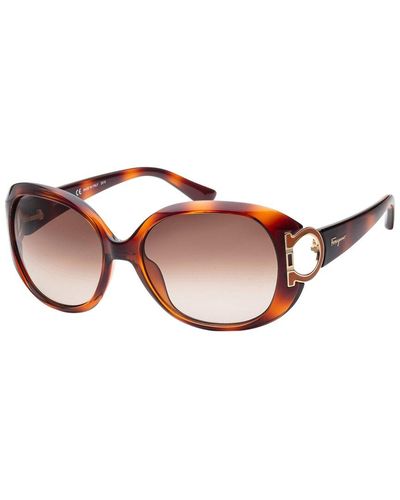 Ferragamo Ferragamo Sf668s 57mm Sunglasses - Brown