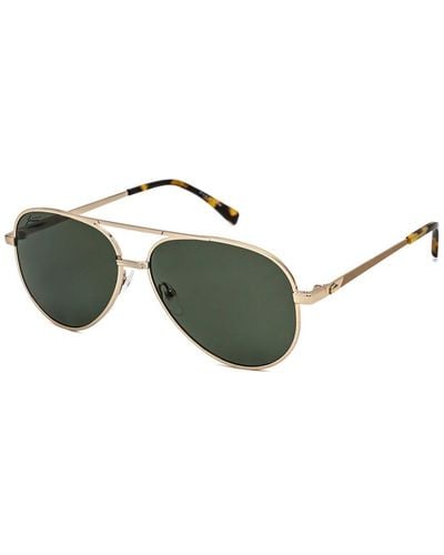 Lacoste L233sp 60mm Polarized Sunglasses - Green