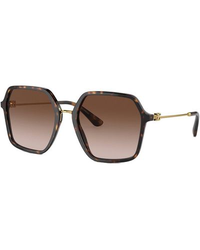 Dolce & Gabbana Dg4422 56mm Sunglasses - Brown